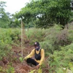 Beneath the Smoke: Jambi’s Peatlands Face the Recurring Trial of Fire, Science, and Community Resilience