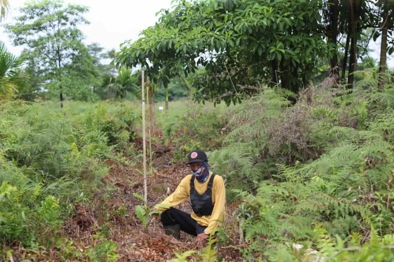 Beneath the Smoke: Jambi’s Peatlands Face the Recurring Trial of Fire, Science, and Community Resilience