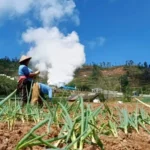 Echoes of Resistance: The Controversy Surrounding the Gunung Ungaran Geothermal Project