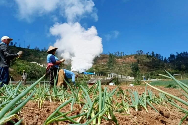 Echoes of Resistance: The Controversy Surrounding the Gunung Ungaran Geothermal Project