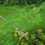 Ecological Crisis at Waduk Manggar: Invasive Weeds Threaten Tourism, Environment, and Water Security in Balikpapan