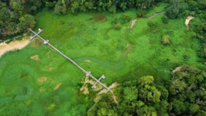 Ecological Crisis at Waduk Manggar: Invasive Weeds Threaten Tourism, Environment, and Water Security in Balikpapan