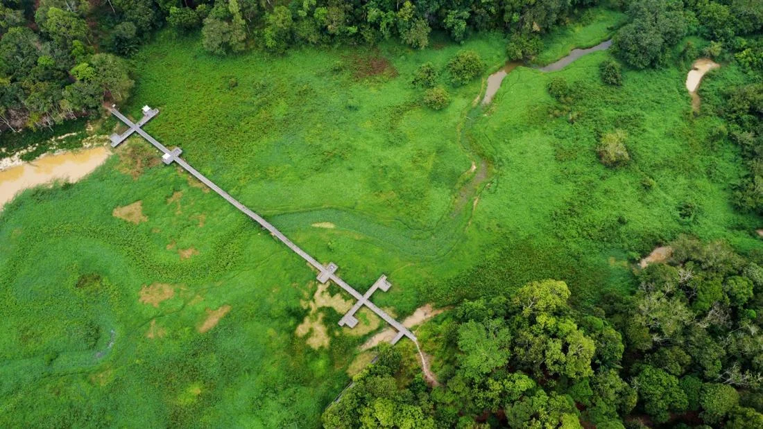 Ecological Crisis at Waduk Manggar: Invasive Weeds Threaten Tourism, Environment, and Water Security in Balikpapan
