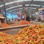Fiery Surge in Indonesian Markets: Red Bird’s Eye Chili Prices Nearing Rp 100,000 per Kilogram Amid Supply Constraints