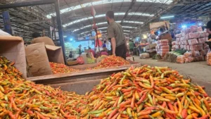 Fiery Surge in Indonesian Markets: Red Bird’s Eye Chili Prices Nearing Rp 100,000 per Kilogram Amid Supply Constraints