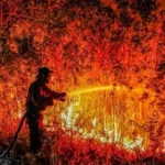 Smoke Without Borders: The Environmental, Health, and Geopolitical Crisis of Indonesia’s 2026 Forest and Land Fires