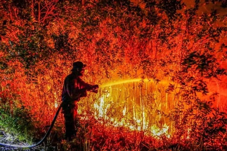 Smoke Without Borders: The Environmental, Health, and Geopolitical Crisis of Indonesia’s 2026 Forest and Land Fires