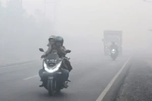 When the Peat Burns: How Indonesia’s 2026 Forest Fires Sparked a Regional Health and Ecological Crisis