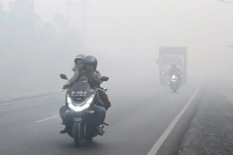 When the Peat Burns: How Indonesia’s 2026 Forest Fires Sparked a Regional Health and Ecological Crisis